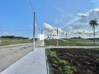 Vista externa de uma rua com vegetação ao fundo.