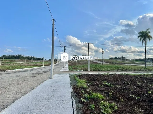 Vista externa de uma rua com vegetação ao fundo.