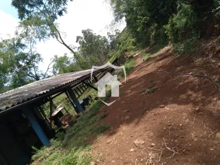 Vista de uma encosta de terra com vegetação densa em Lajeado.