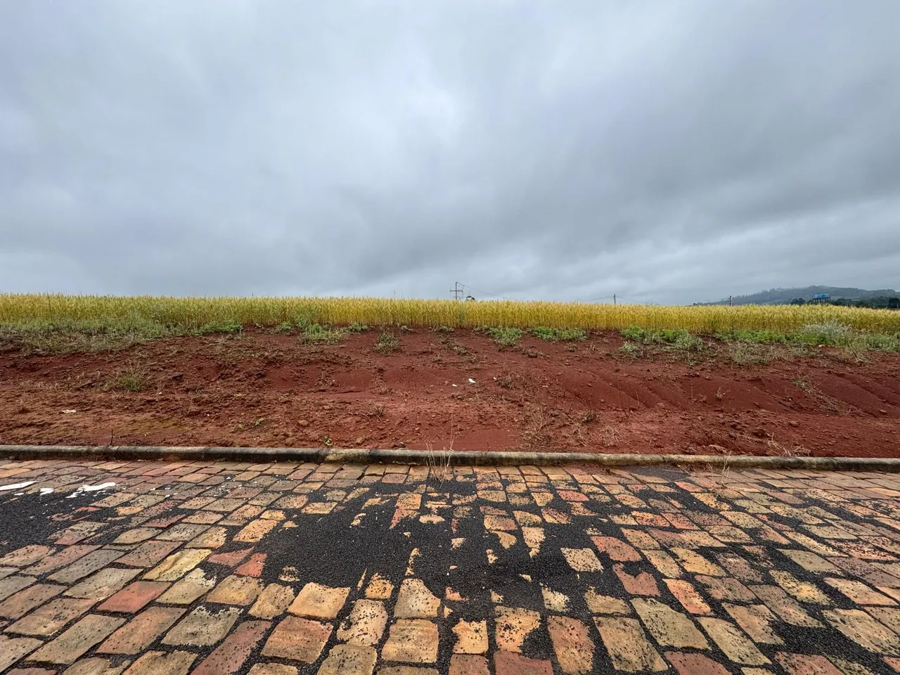 Terreno, foto 1