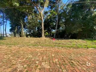 Vista externa do terreno com piso de tijolos e vegetação ao fundo.