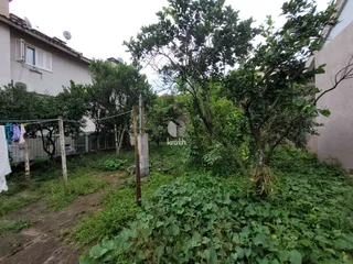 Terreno, foto 3
