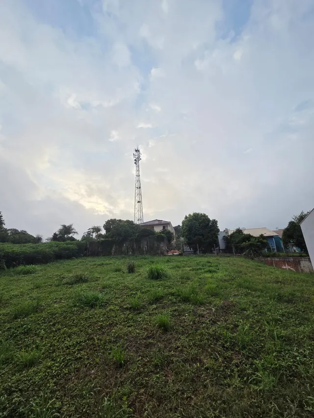 Terreno, foto 3