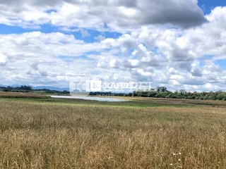 Vista de um campo aberto com vegetação seca sob um céu nublado.