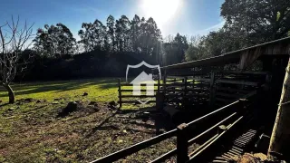 Área rural com 3 dormitórios, foto 24