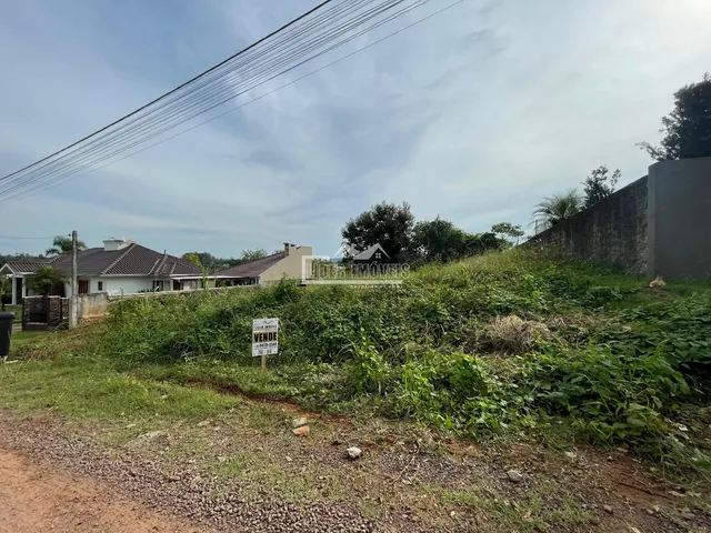Vista externa de uma propriedade com vegetação densa e muro de contenção.