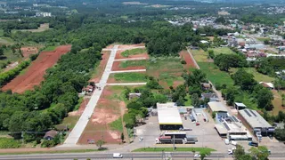 Terreno, foto 7