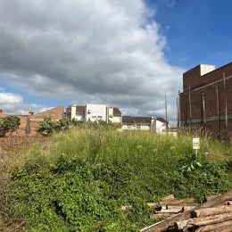 Terreno, foto 3