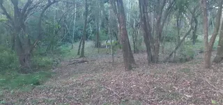 Área rural, foto 3