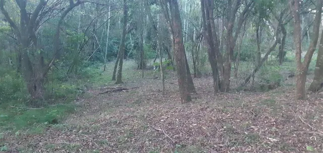 Área rural, foto 3