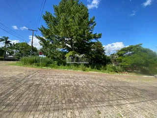 Terreno, foto 3