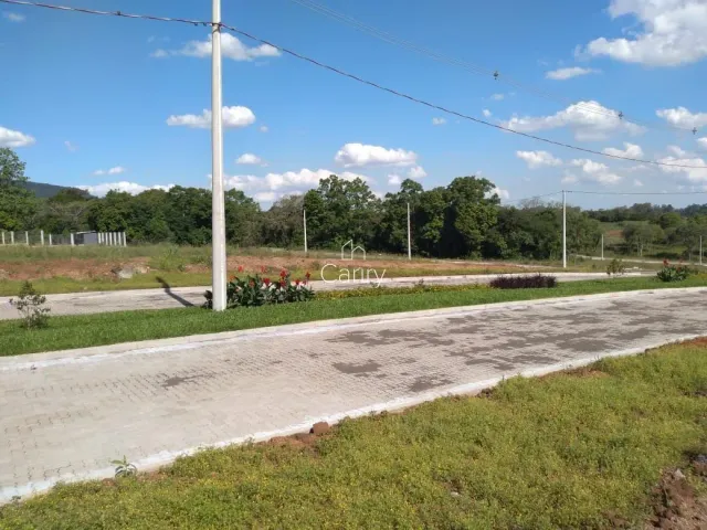 Terreno, foto 3
