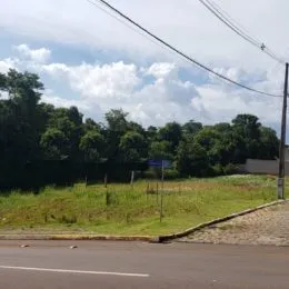 Vista de uma área gramada ao lado de uma estrada.