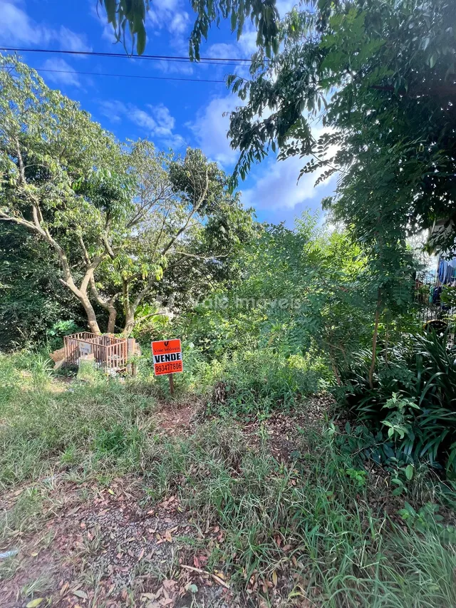 Terreno, foto 1