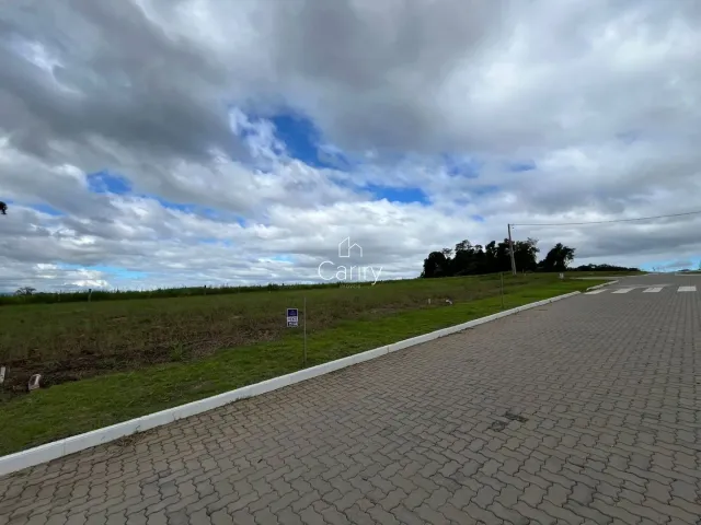 Terreno, foto 2