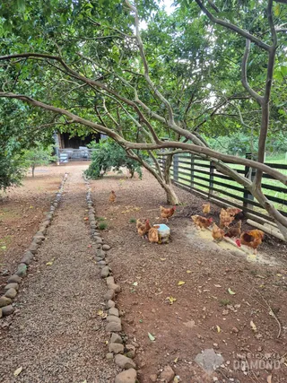 Área rural com 4 dormitórios, foto 23
