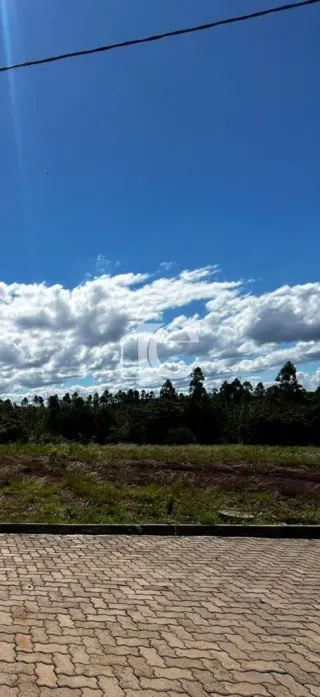 Terreno, foto 5