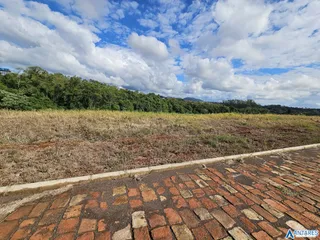 Terreno, foto 2