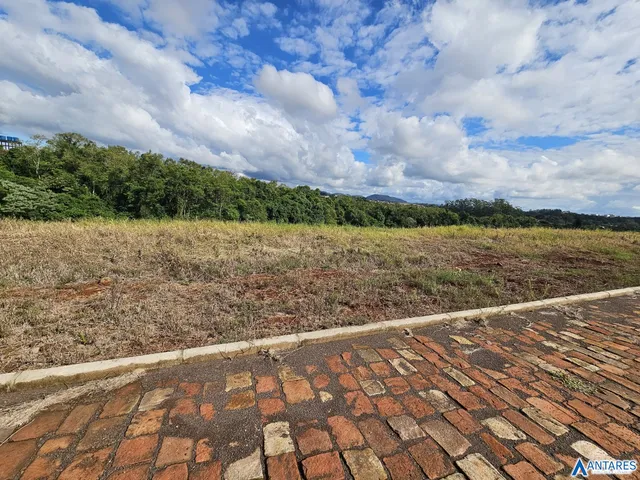 Terreno, foto 2