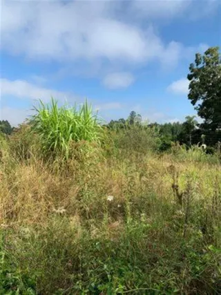 Área rural, foto 6