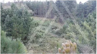 Terreno, foto 2