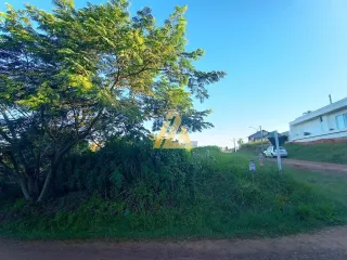 Terreno, foto 3