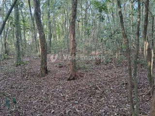 Área rural, foto 10