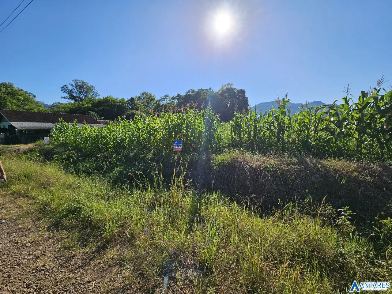 Terreno, foto 1