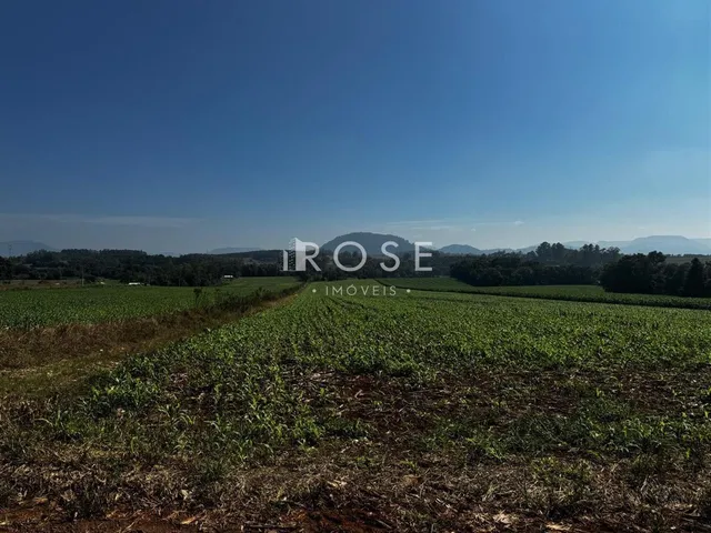 Área rural, foto 5