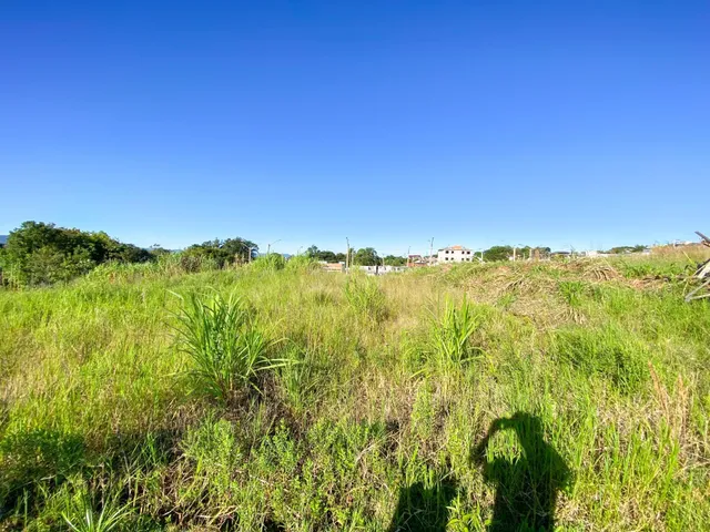 Terreno, foto 2