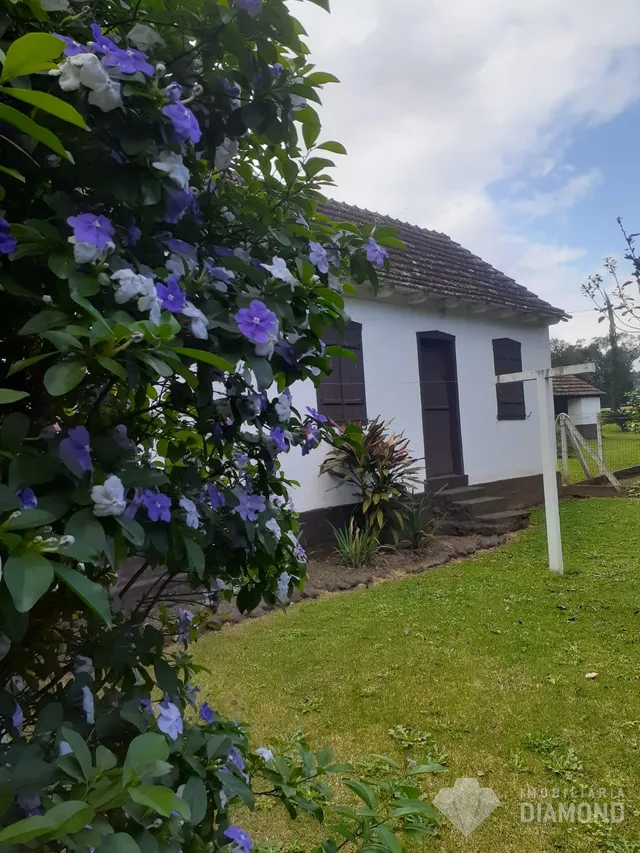 Área rural com 4 dormitórios, foto 5