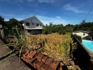 Terreno, foto 2
