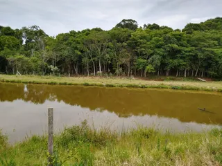 Área rural com 3 dormitórios, foto 4