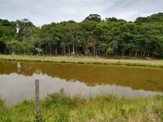 Área rural com 3 dormitórios, foto 4