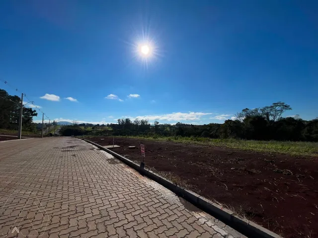 Terreno, foto 3