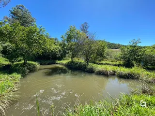 Paisagem de água e vegetação densa ao ar livre em Lajeado.