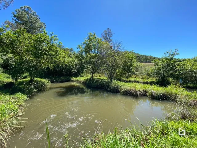 Paisagem de água e vegetação densa ao ar livre em Lajeado.