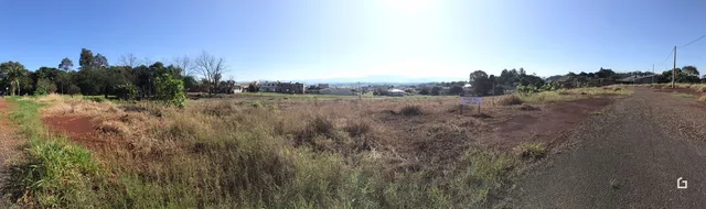 Paisagem de campo seco com vegetação rasteira e uma estrada de terra.