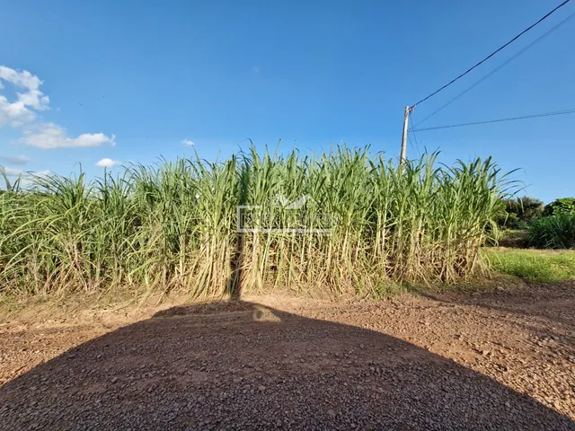 Terreno, foto 2