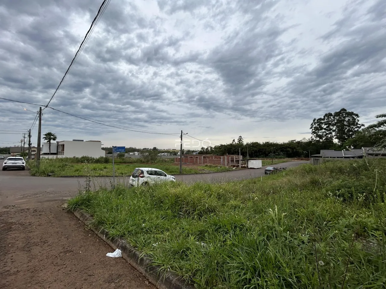 Vista da propriedade com vegetação e estrada no primeiro plano.