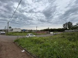 Vista da propriedade com vegetação e estrada no primeiro plano.