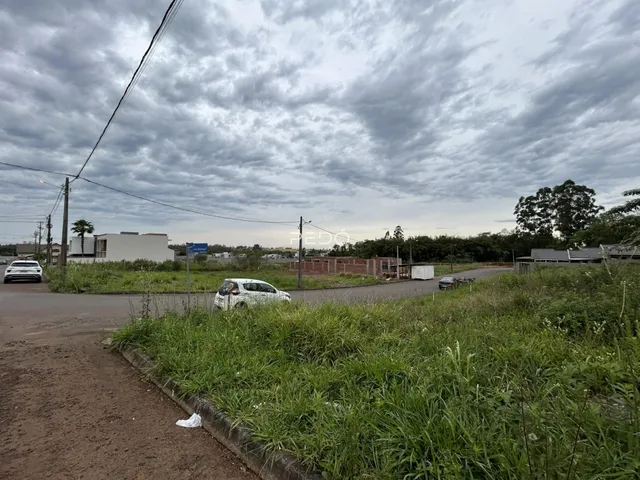 Vista da propriedade com vegetação e estrada no primeiro plano.