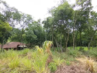 Área rural, foto 4