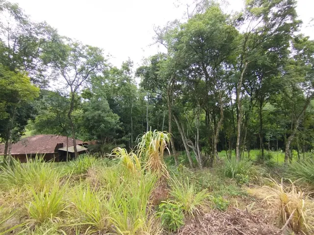 Área rural, foto 4