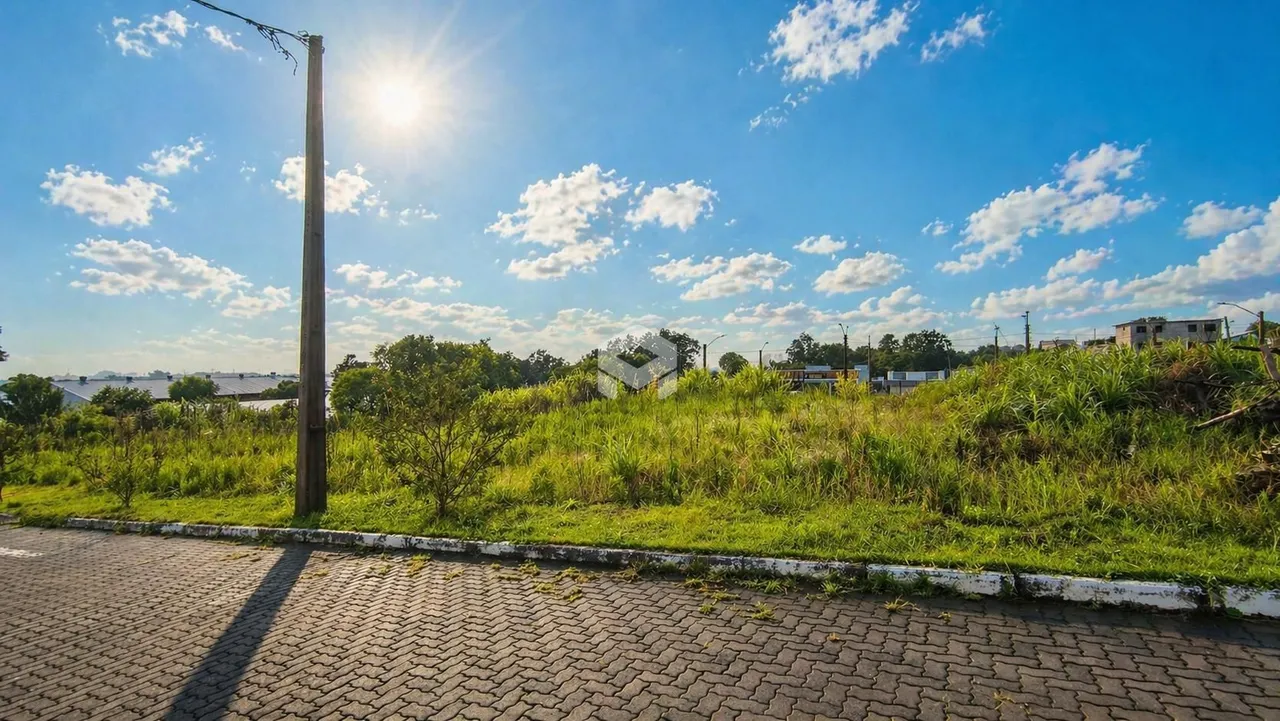 Paisagem de grama e vegetação ao lado de uma estrada pavimentada.