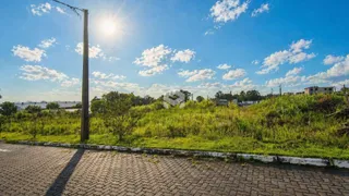Paisagem de grama e vegetação ao lado de uma estrada pavimentada.