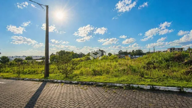 Paisagem de grama e vegetação ao lado de uma estrada pavimentada.