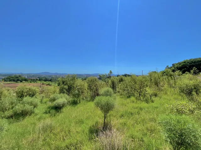 Terreno, foto 2