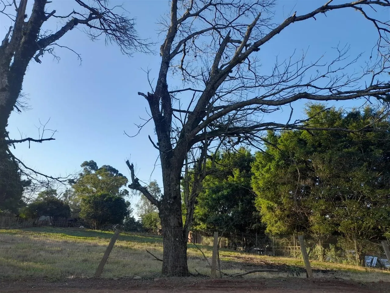 Área rural, foto 1