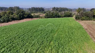 Vista aérea de um campo verde extenso com vegetação e árvores ao fundo.